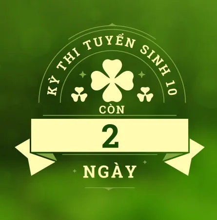 TRUNG TÂM BỒI DƯỠNG VĂN HÓA TRÍ NHÂN VIỆT