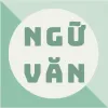 TRUNG TÂM BỒI DƯỠNG VĂN HÓA TRÍ NHÂN VIỆT