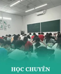 TRUNG TÂM BỒI DƯỠNG VĂN HÓA TRÍ NHÂN VIỆT